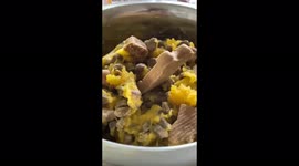 Squash and pumpkin mashed with puppy fool is actually good for harden the stool