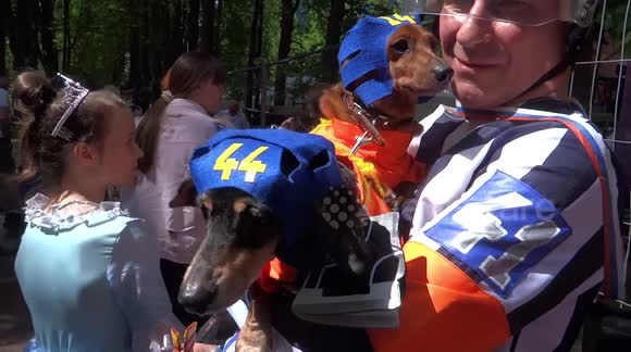 Dogs show off in bizarre costumes at pet fashion show in Russia