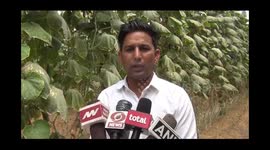 A young farmer cultivating by building a poly house in two acres of land is earning millions Young farmer Pradeep Dhul said that even by giving employment to ten people, he earns ten lakh rupees annually.