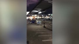 Pet Golden Retriever waits patiently on motorcycle for owner to return from shop