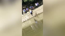 Chinese officers save woman from drowning in river