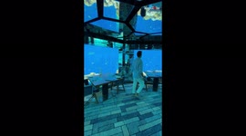 Underwater restaurant lets customers dine with exotic sea life in the Maldives