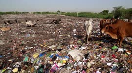 Shameful and Dirty seen of Clean India on World Environment Day
