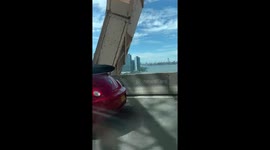 Dog and man driving with googles on the 59th street bridge New York city