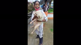 Blind dog abandoned in sewage drain rescued by kind woman in India