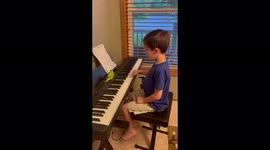 Silly musical lovebird parrot enjoys dancing and jumping along to the piano