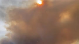 US: Smoke From Telegraph Fire Fills Sky Of Arizona 2