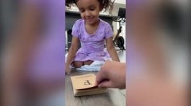 Meet the smartest toddler in the US who has been accepted as the youngest member of Mensa with an IQ of 146