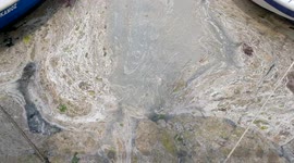 Mucilage Cleaning Has Started In The Sea Of Marmara