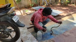Cobra relocated after Indian farmer finds it lurking underneath their doorstep
