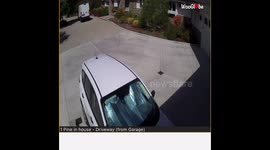 'Lazy Amazon Driver Carelessly Throws Package from her Vehicle'