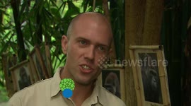 Frank, the Littlest Gorilla in the Exhibit, Acts Like the Toughest