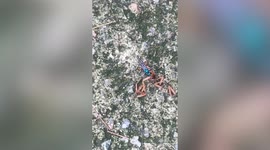 Skin-crawling footage shows wasp cutting up spider’s legs, flying away with body