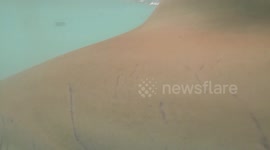 Nurse sharks bites my camera