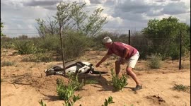Hapless gemsbok freed after becoming trapped on fence in Botswana