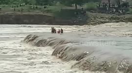 Four boys rescued from raging Indian river after hours-long ordeal