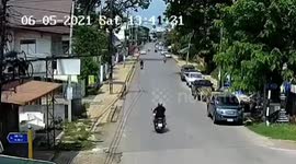 300-year-old tree pulls down electric pole onto motorcycle after storm
