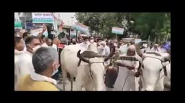 Describing the back-breaking increase in the prices of petrol and diesel as fatal for the people of the state and the country, senior Congress leader and party's national general secretary Randeep Singh Surjewala said that the BJP has now proved to be a '