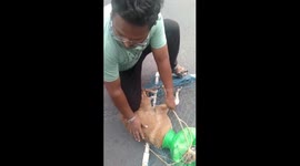 Team of wildlife rescuers save dog trapped with plastic container on its head