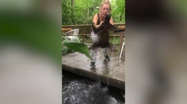 Hapless sloth gets rescued after falling into pond in Costa Rica