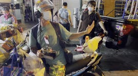 Motorcycle rider carries his pet duck on back of his bike