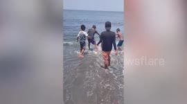 Sea turtle caught in fishing net is released into ocean in Philippines