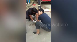 Injured python treated on roadside after suffering wounds from fight with a dog