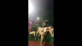 Rampaging elephant gatecrashes wedding