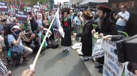 Jewish crowd supports burning of Israeli flag by pro-Palestine protestors in London