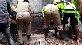 Cow that fell into deep well is rescued by locals in India