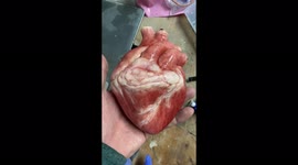 Animatronic beating heart sculpture , hyperrealistic silicone heart made by Baris Kareli