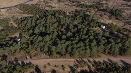 Aerial view or rural landscape and pine forest and oak tree at sunrise, plains in cold morning in Yecora Sonora Mexico