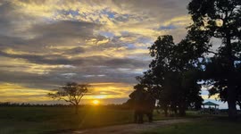 Beautiful Sunset With Elephant Crossing
