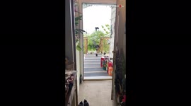 'Hungry Eagle Steals Crows' Dinner from the Porch'