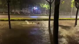 Man swims in street submerged by deep floodwater in China