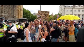 Anti-lockdown protesters staged a sit-in protest outside Downing Street