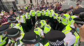 Anti-lockdown protester arrested outside Downing Street