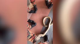 Brave firefighters brace deadly cobra during training session