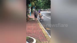 大爷骑电瓶车街头溜鸡