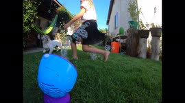 'Excited Dog is Obsessed with his New Bubble Machine '
