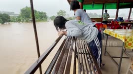 Stranded cows rescued after floods from storm submerge field in Thailand