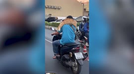 Clingy cat sleeps on owner’s back while riding motorbike