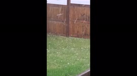 Canada: Ping Pong Ball-Sized Hail Pelts Parts Of Alberta