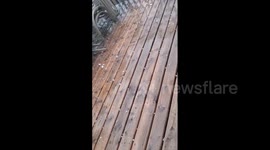 Canada pelted with ping pong ball-sized hail