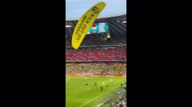 Greenpeace activist crash-lands onto pitch after colliding with fans at Euro 2020 game