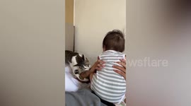 Protective cat lightly bites owner to ‘save’ crying baby