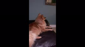 Rocky watching his favourite team Manchester United. He hopes to play for them some day