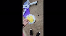 PARTY CITY TOSSES BRAND NEW PARTY SUPPLIES.