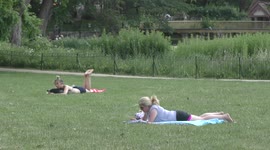 Hot weather, people having sunbathe and birds feeding in Hype park