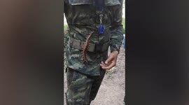 Brave Thai soldier lets giant centipede crawl up his leg